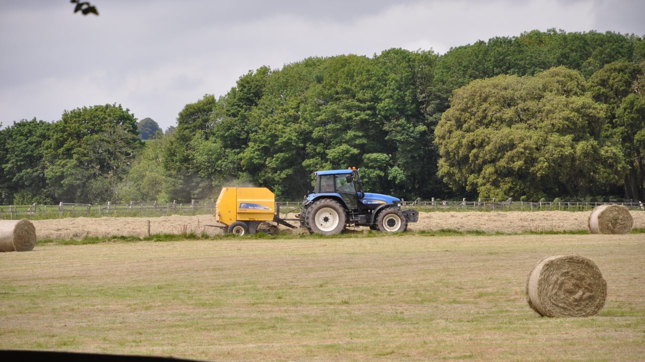Map: How much does a 4X4 round bale of hay cost?