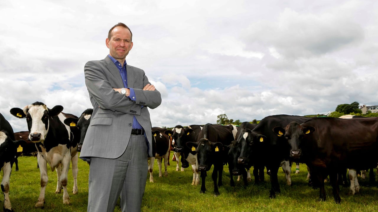 Dale Farm: Milk markets set for 'period of sustainable returns'