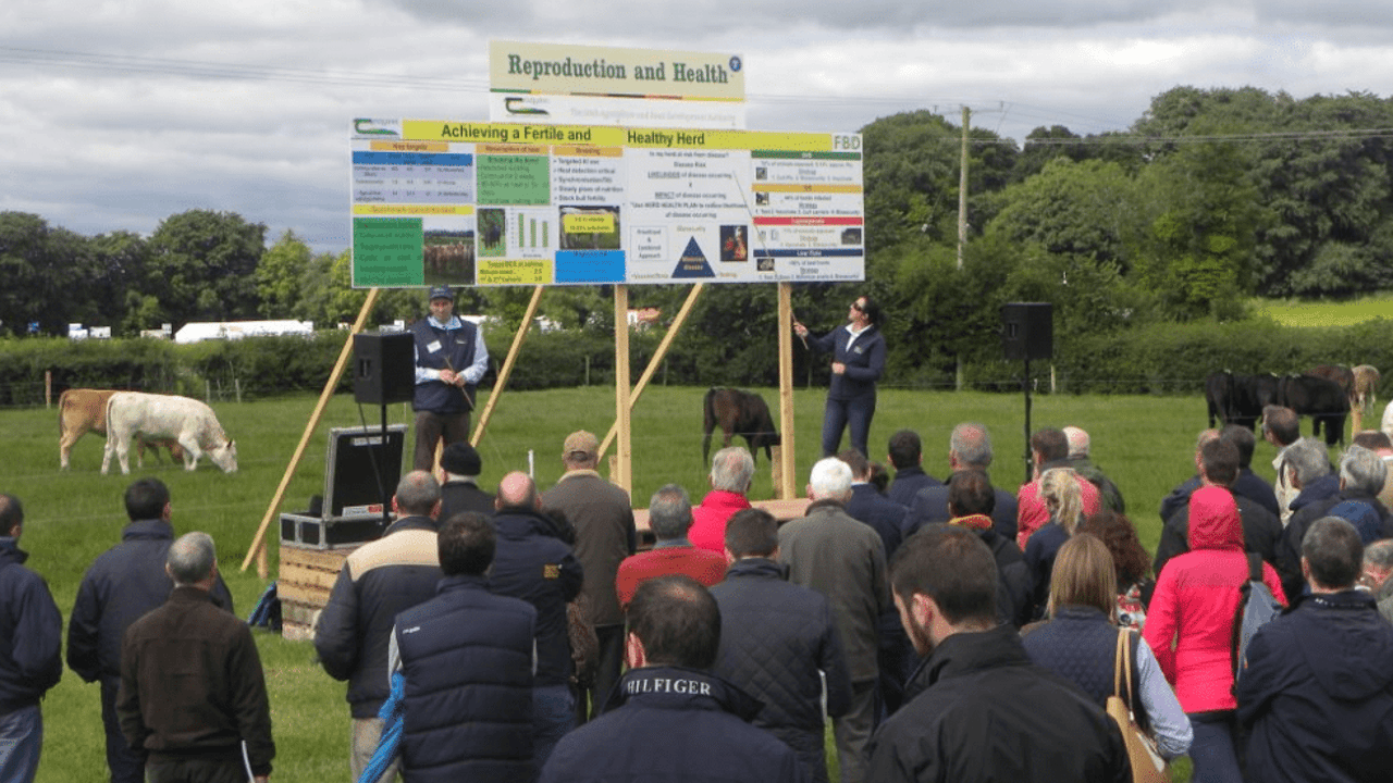 Site map: What's on the agenda at Teagasc's BEEF 2018 event?