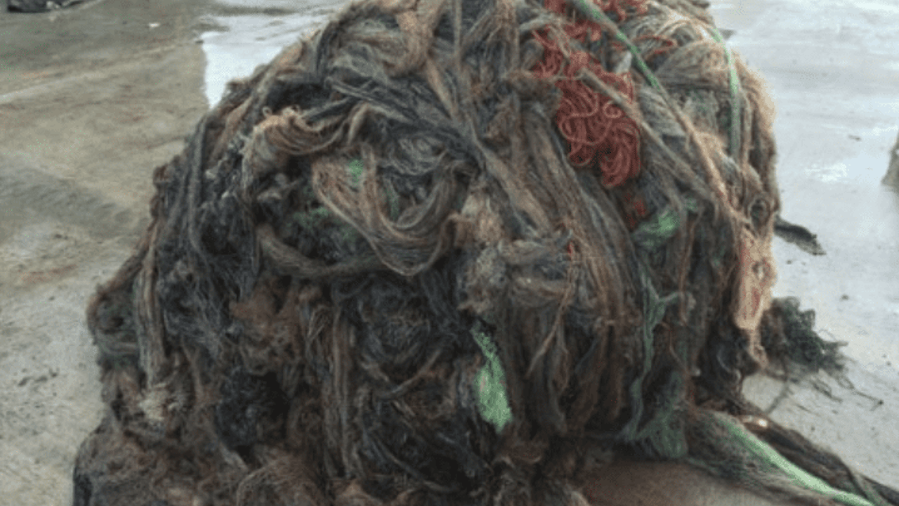 Have you bale netting or twine to recycle? Here's what to do