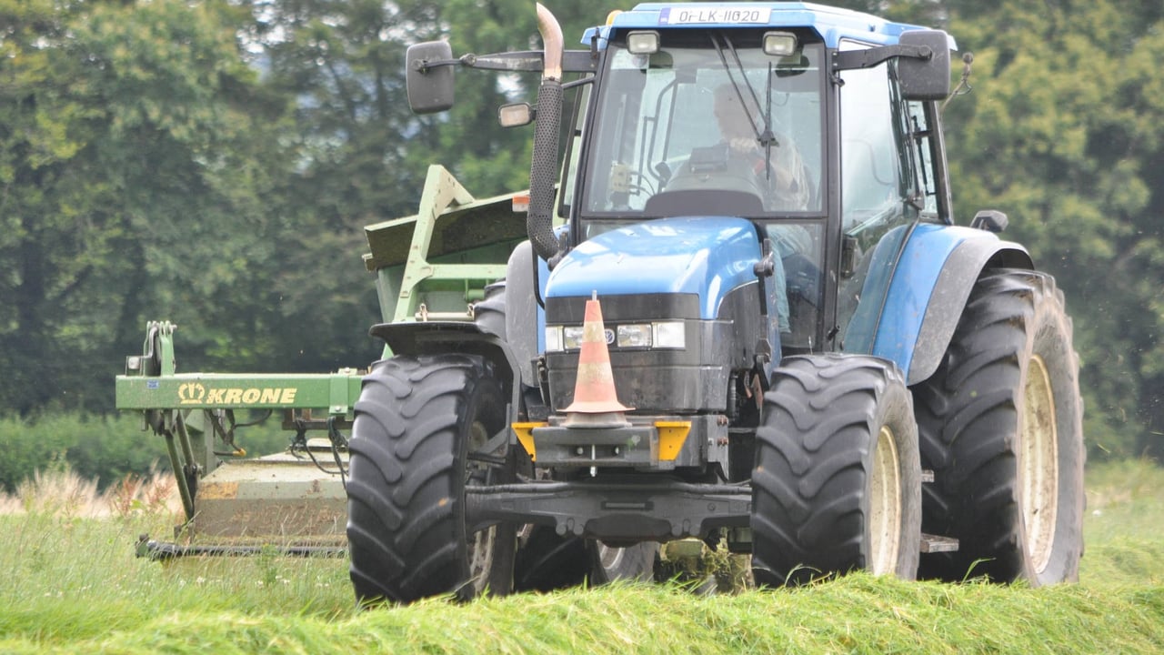 'We could be mowing second cuts in September'