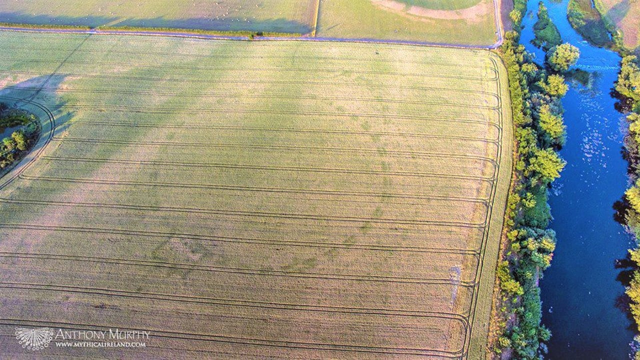 Cropmarks unveil 'prehistoric ritual enclosure' in Co. Meath