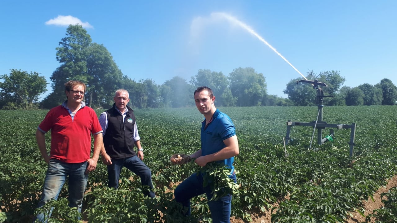 L-R: Conor O'Malley; Robert Devlin; and Philip Meade jnr of Meade Potato Company inspect their crop of Rooster potatoes in Lobinstown, Co. Meath 