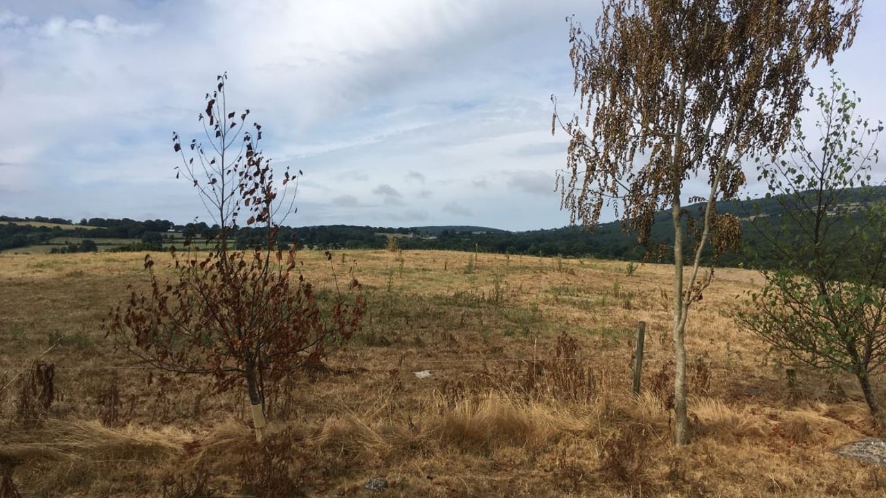 Image source: Sean Cummins (Teagasc) Twitter page