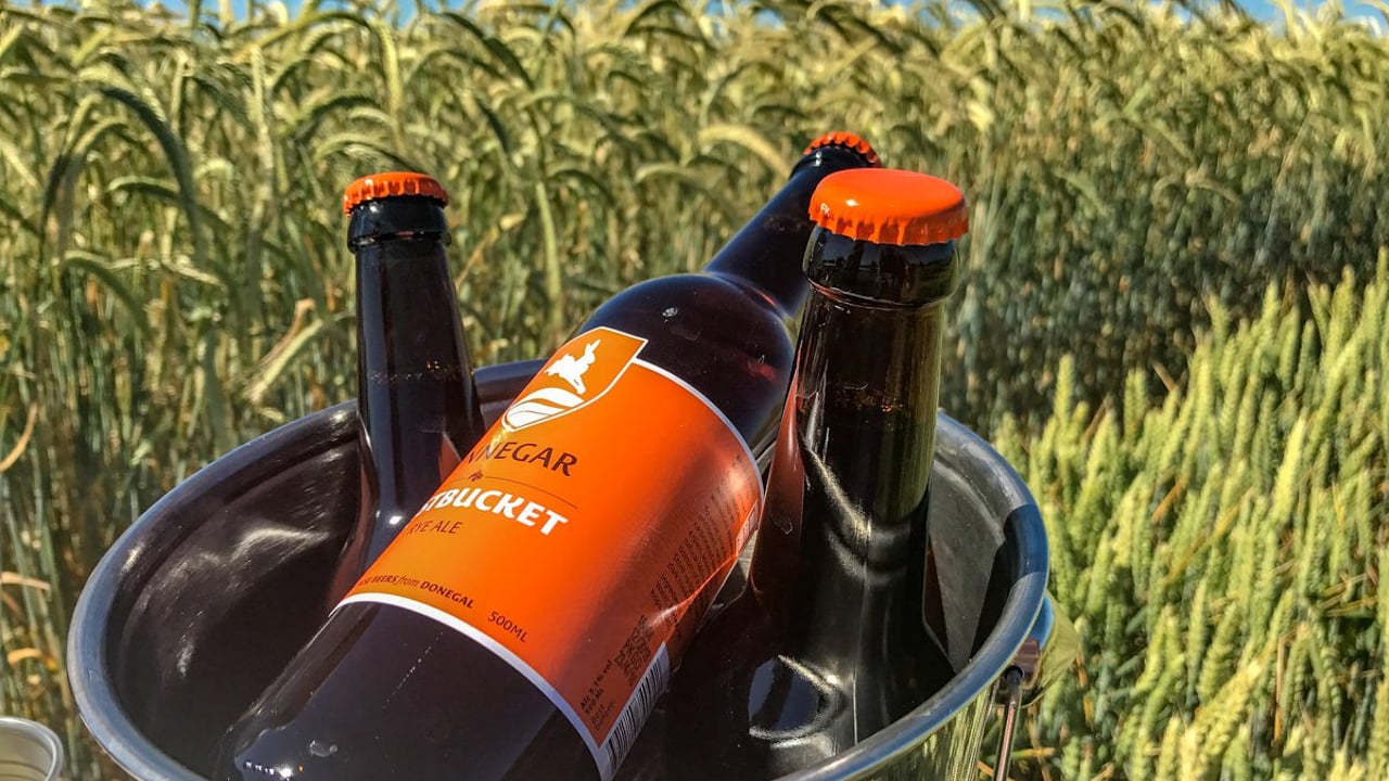 Rye is the talked about crop of the season