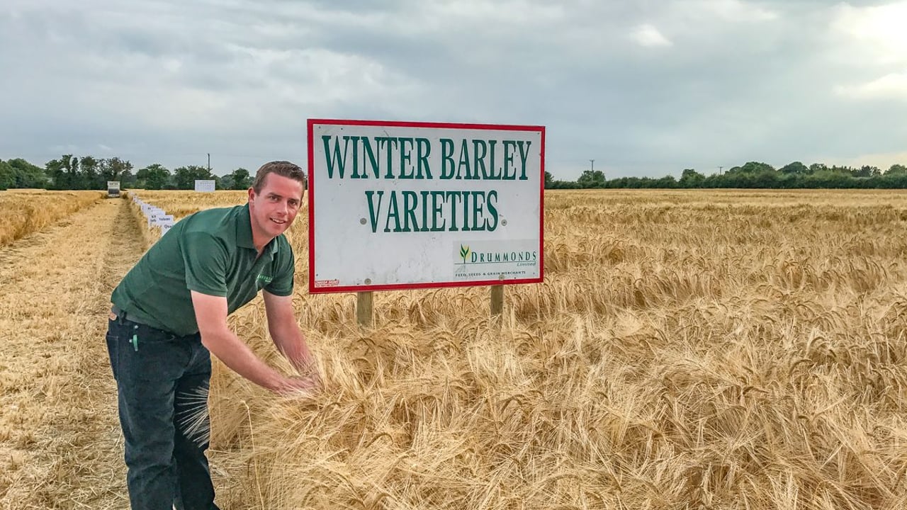 Brian Reilly, Drummonds trial site manager