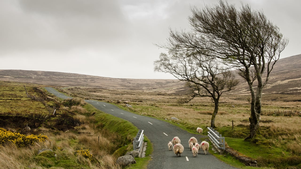 Image source: Fergal Gleeson
