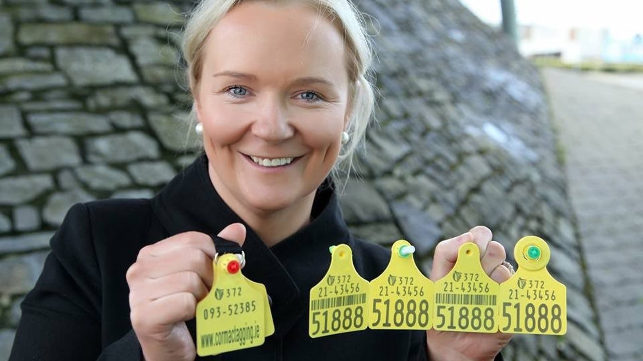 Cormac Tagging's director of operations Ursula Kelly