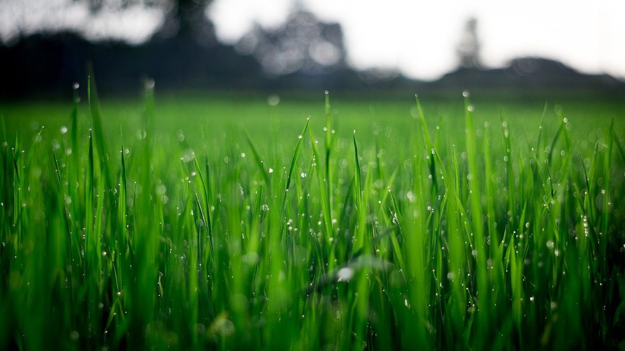 Is it legal to draw water from the source in Northern Ireland?