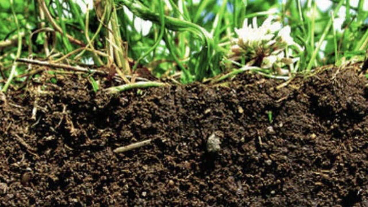 Our soils are depleting faster than they can be regenerated