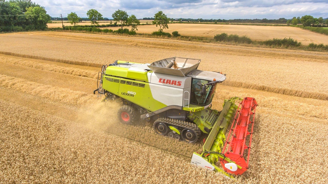 Claas Lexion 660 TT cutting wheat on August 5 in Ballyfore. Image source: Adrian Leech Photography