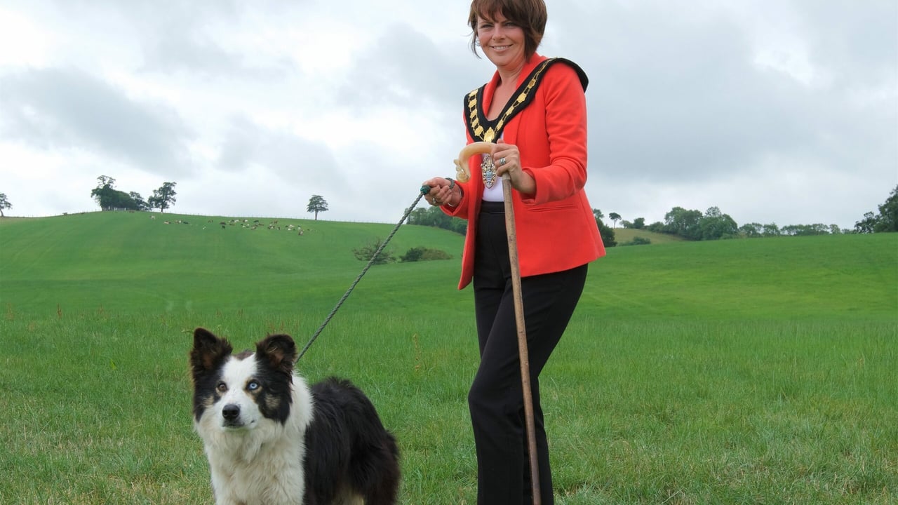 Councillor Julie Flaherty, lord mayor of Armagh, Banbridge and Craigavon Borough Council
