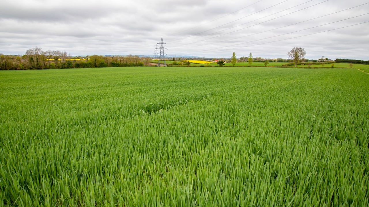 3-crop rule back in action for the 2018/2019 season