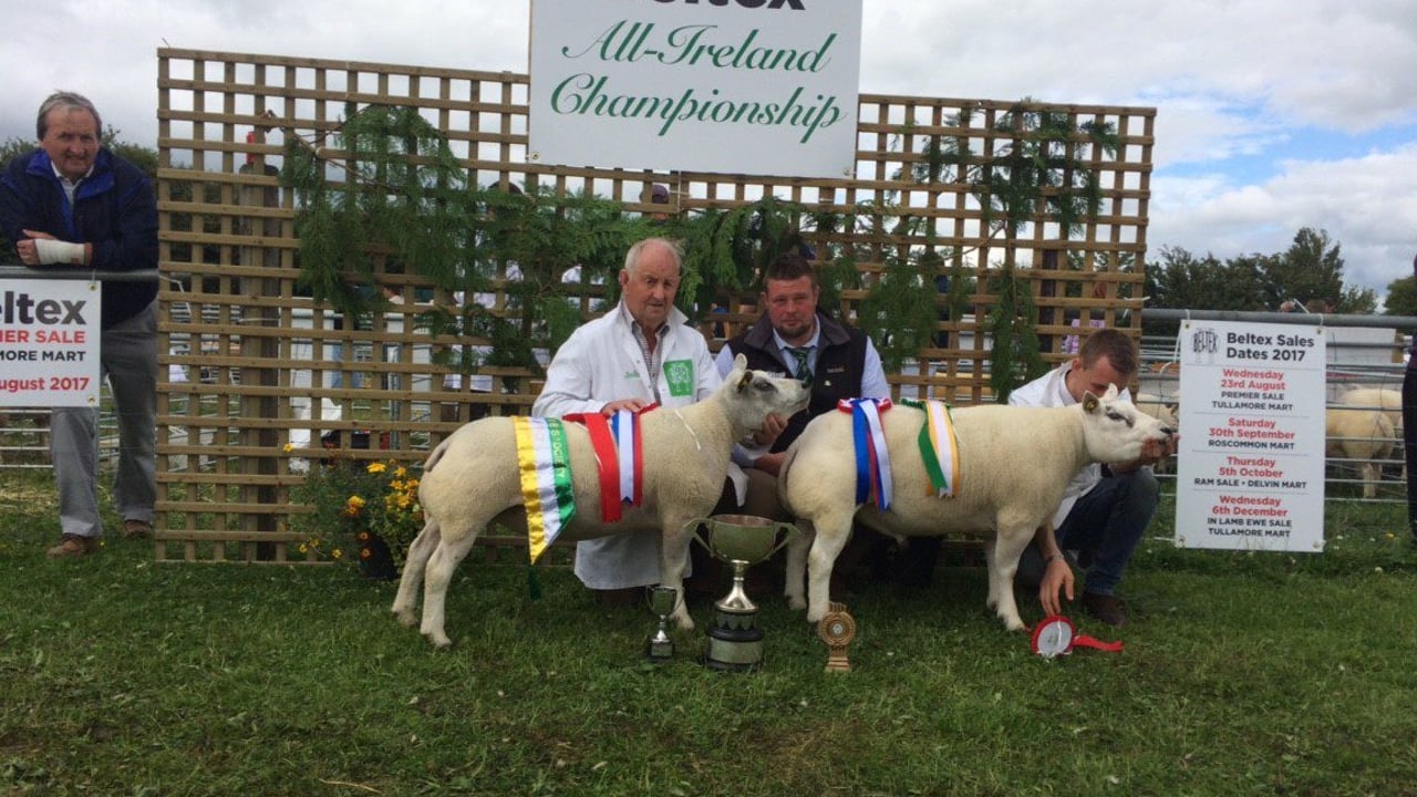 John and Sean Browne with both the All-Ireland Champion and Reserve Champion Beltex for 2017