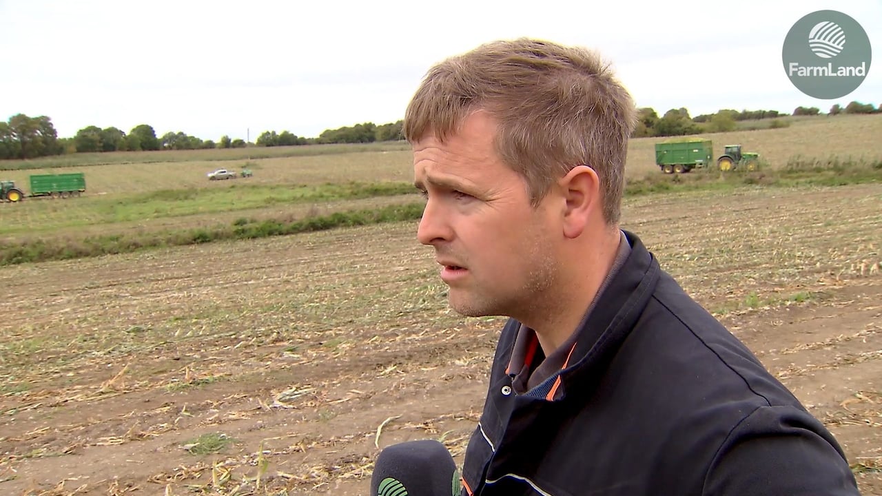 Brendan Martin's maize crop was ravaged by Storm Ali