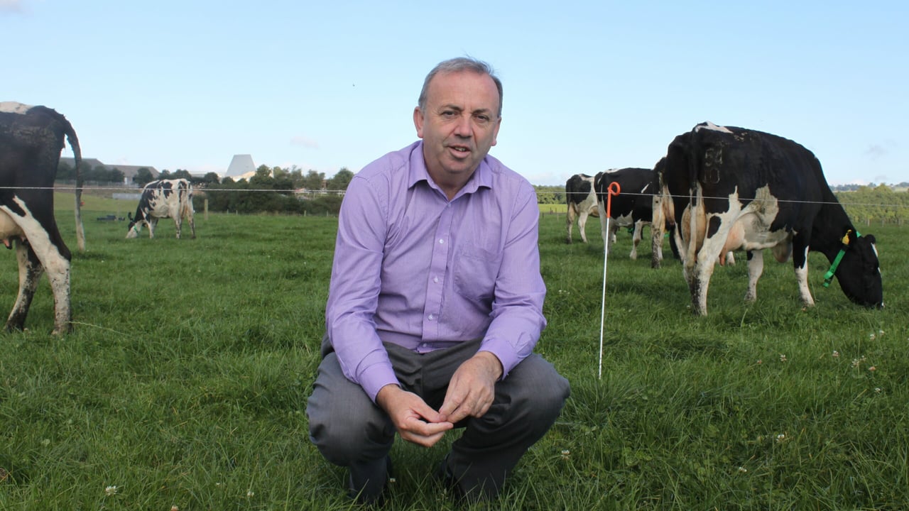 UCC launches new agricultural science degree specialising in dairying