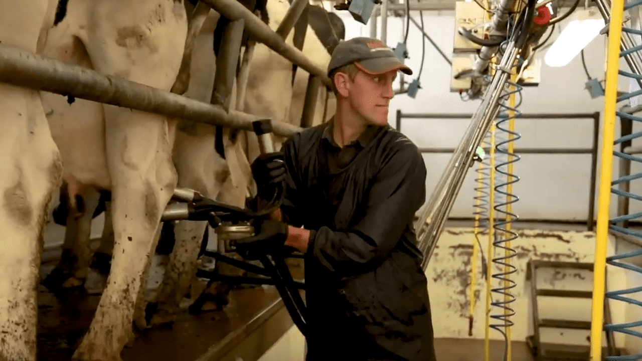 How one farmer has gotten his herd SCC under control
