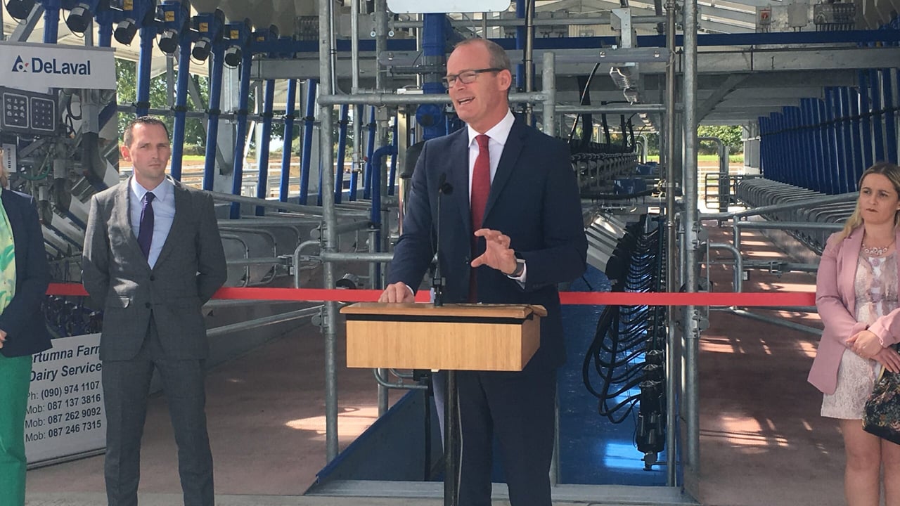 Tanaiste and Minister for Foreign Affairs and Trade Simon Coveney