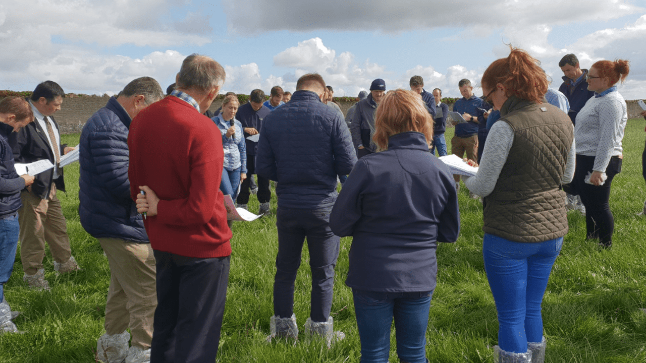 Image source: UCD Lyons Farm Twitter page