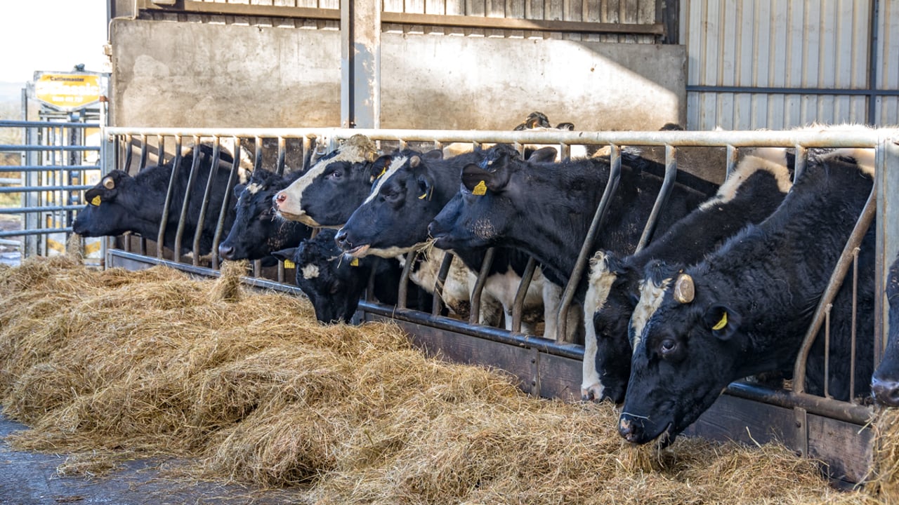 Banks in NI stand ready to support weather-hit farmers