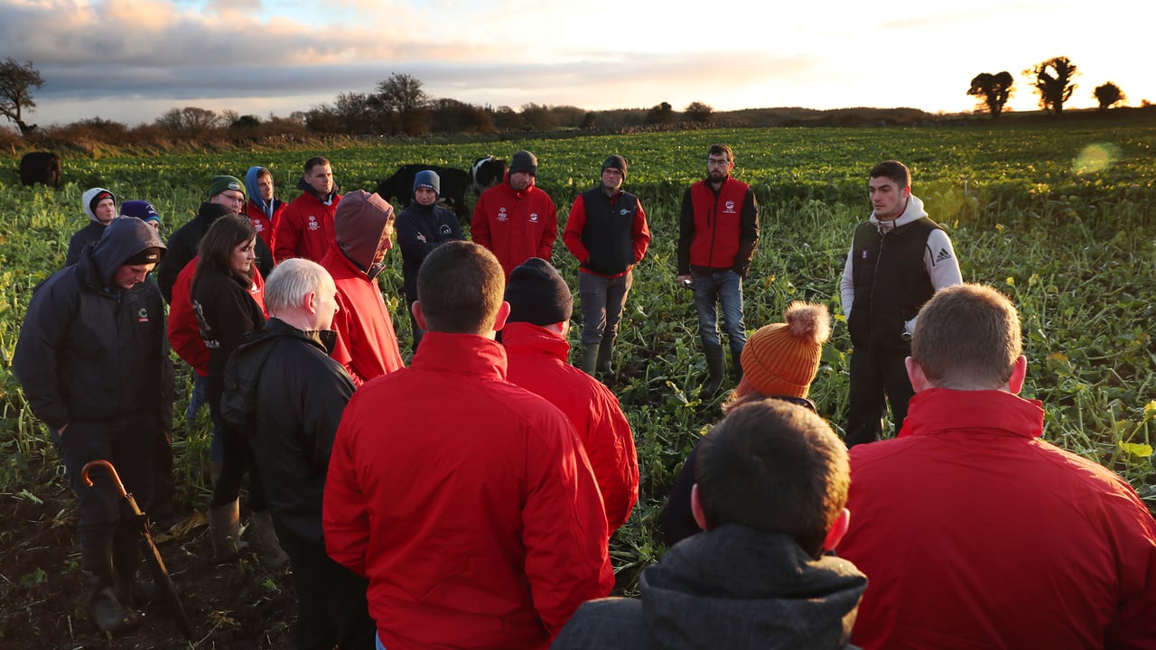 Farm walk on the farm of Kevin Moran