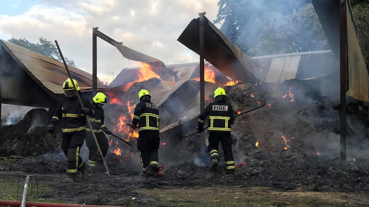 ‘Suspected activists’ set dairy farmer’s shed alight overnight