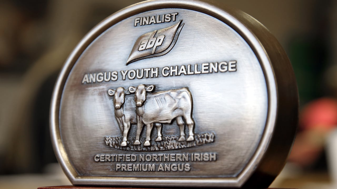 Trophies for finalists taking part in the Angus Youth Challenge. Image source: Cliff Donaldson