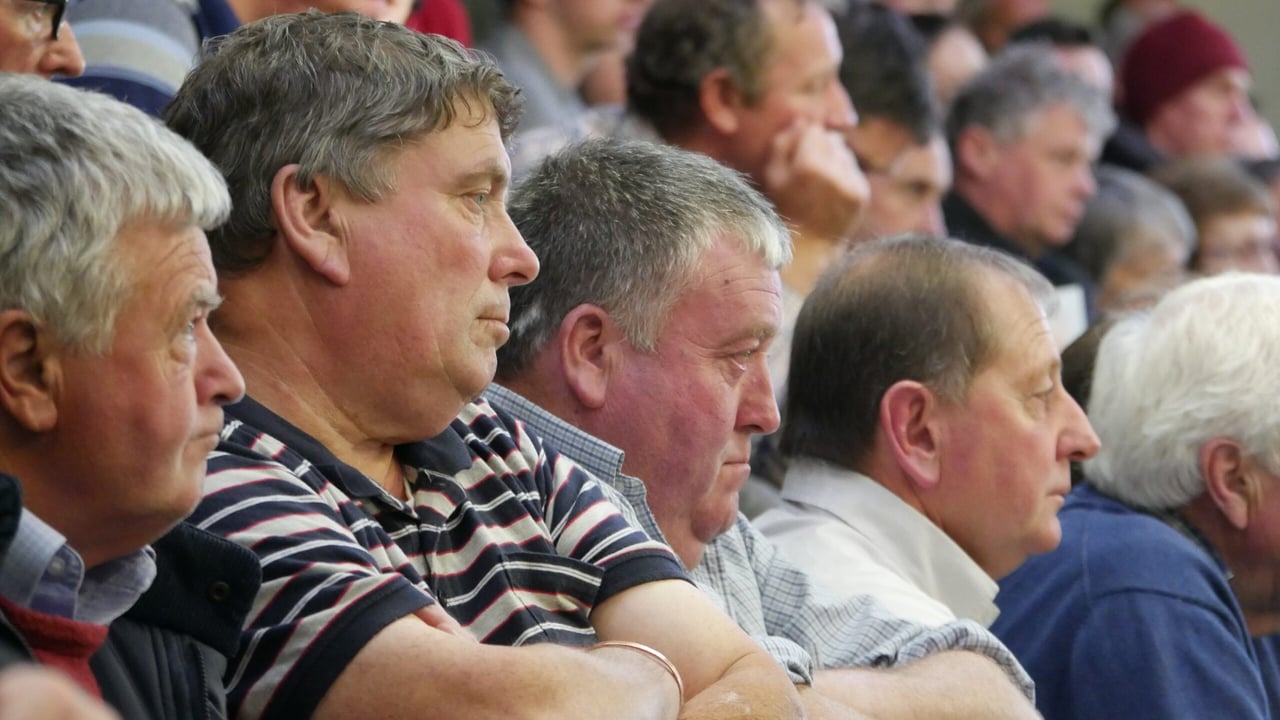 Beef Roadshow events attract large attendances
