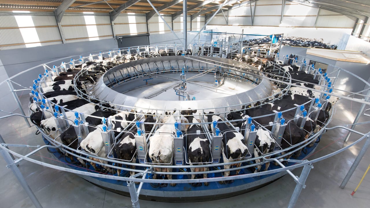 Day 2 of international dairy congress commences in Dublin