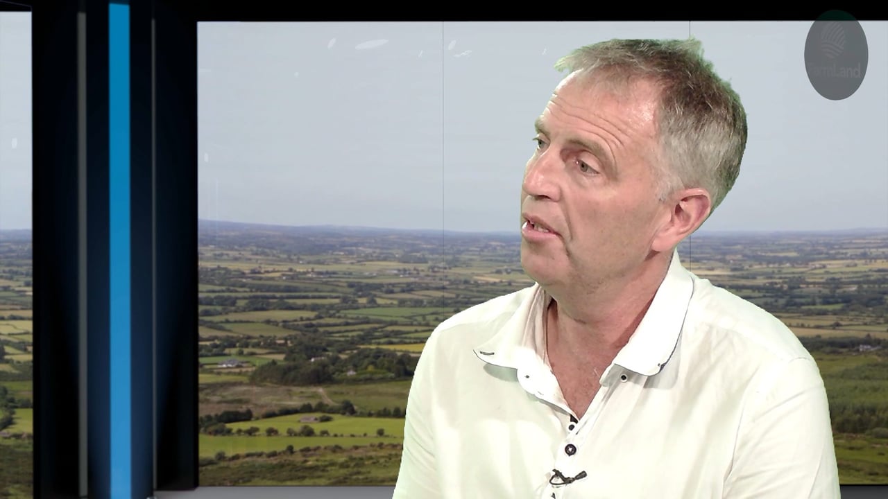 Breed societies row in behind new Beef Plan Group