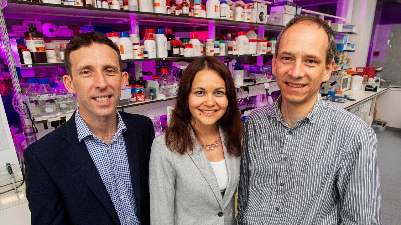 Dr. Mark Mooney, Institute of Global Food Security QUB, Dr. Irina Tikhonova, School of Pharmacy QUB and Dr. David Simpson, Centre for Experimental Medicine QUB.
Image source: Parkway Photography