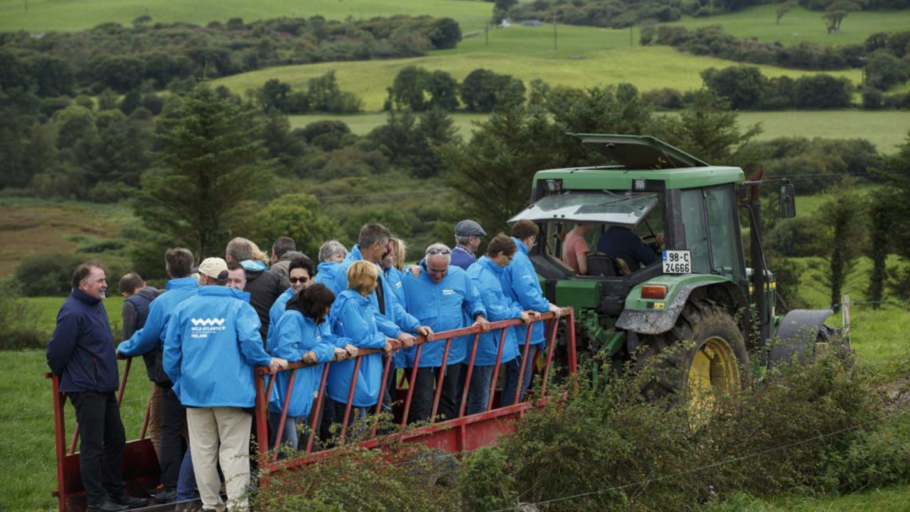 West Cork Farm Tours in action in Co. Cork