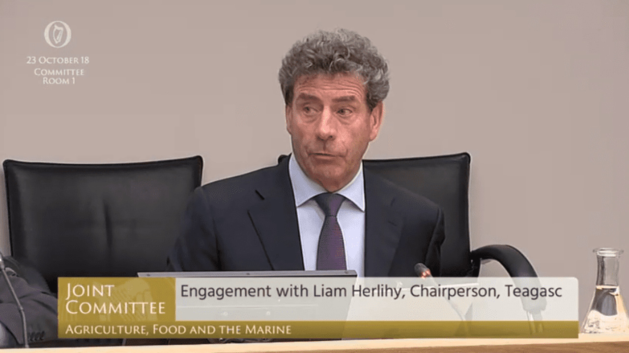 Teagasc chair Liam Herlihy