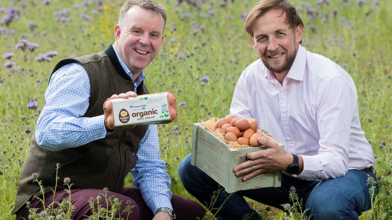 Golden Irish Organic Eggs from Co. Monaghan is one of the entries nominated for an award
