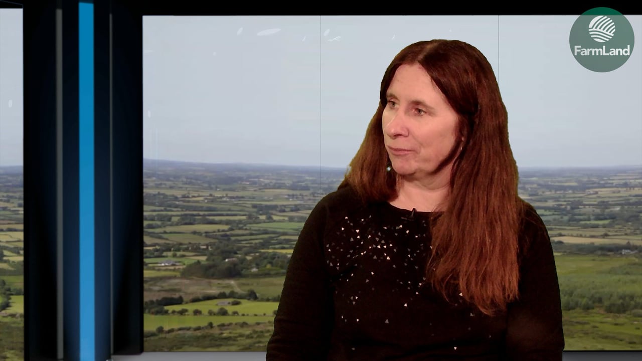 Organic tillage: 'A lot of our growers can't keep up with demand'