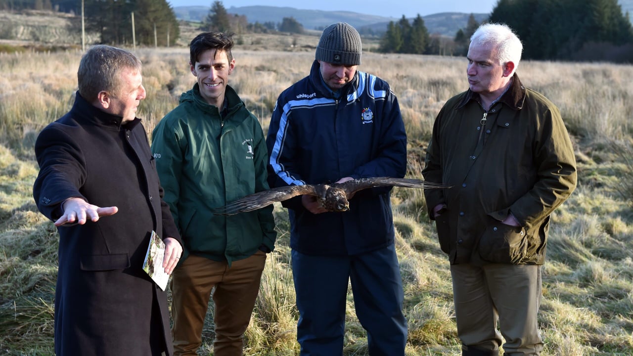 Hen Harrier Programme payments begin issuing to farmers