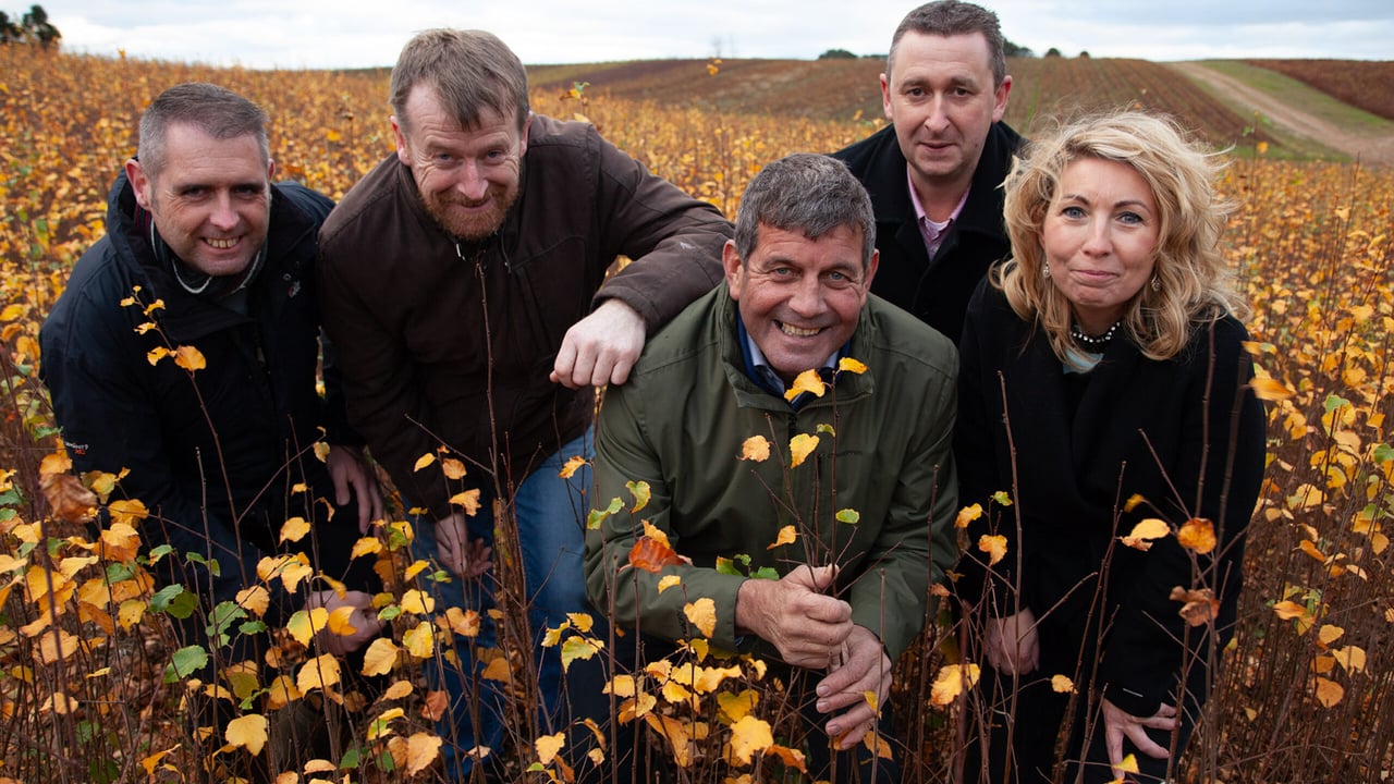 L-R: John Kavanagh, nursery manager; Lar Behan, sales manager; Minister Andrew Doyle; Breda Murphy, HR manager; Tyghe Ryan, sales manager. Image source: Maxwell Photography