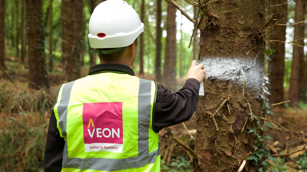 Veon is empowering farmers with forestry knowledge