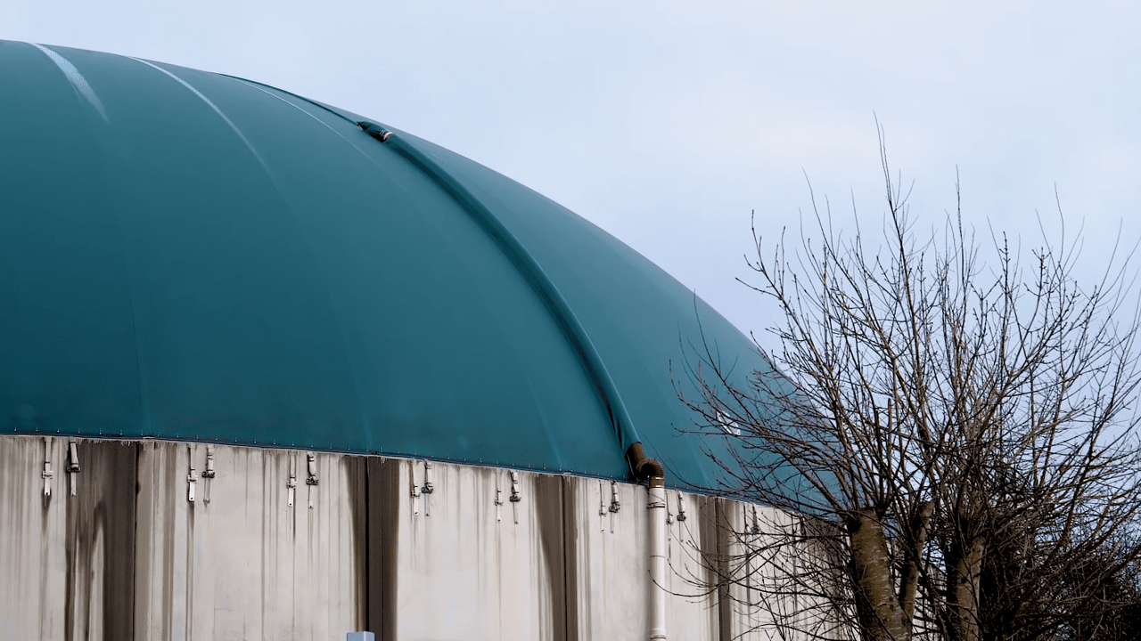 Technological infrastructure vital for bioenergy project in midlands - TD