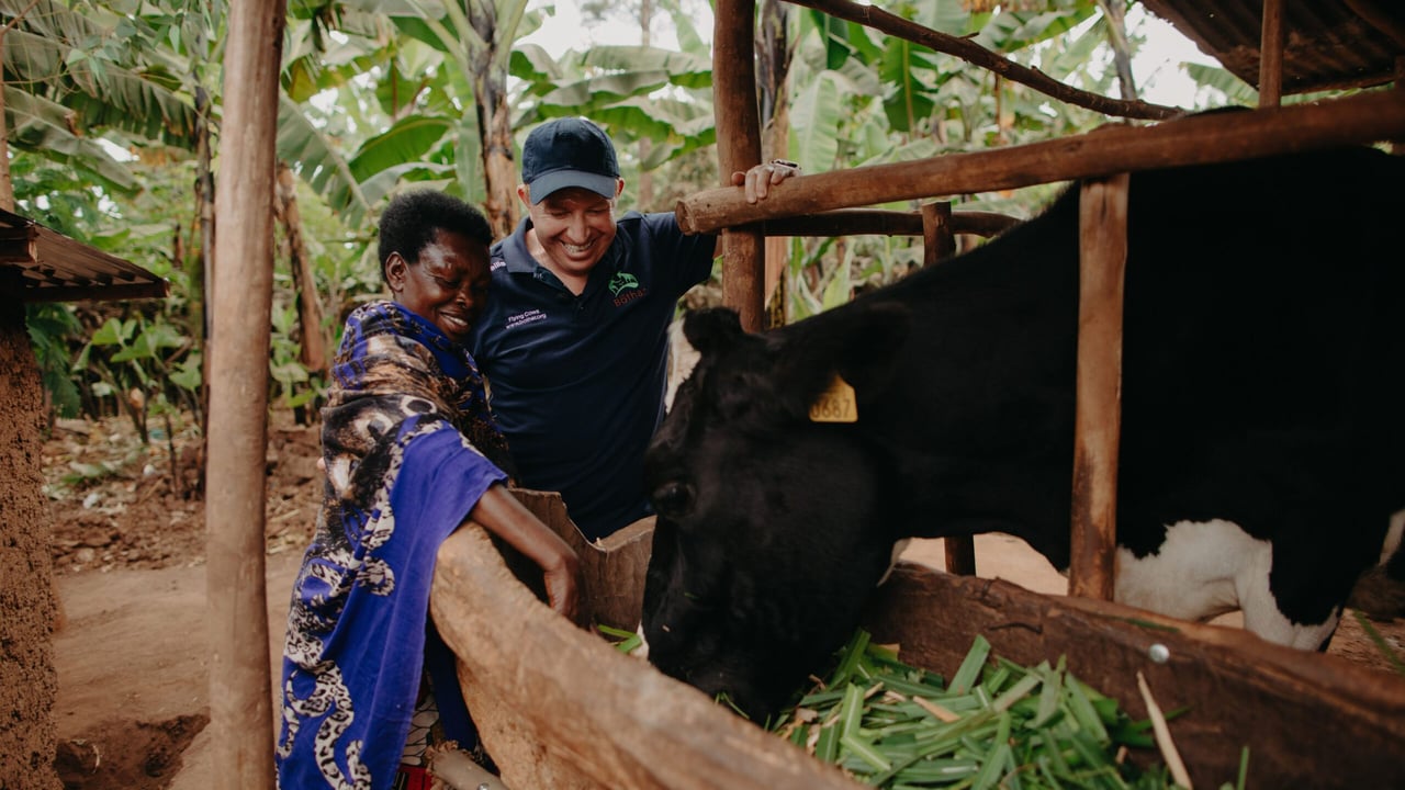 'The Bothar cow gave hope, income and security'