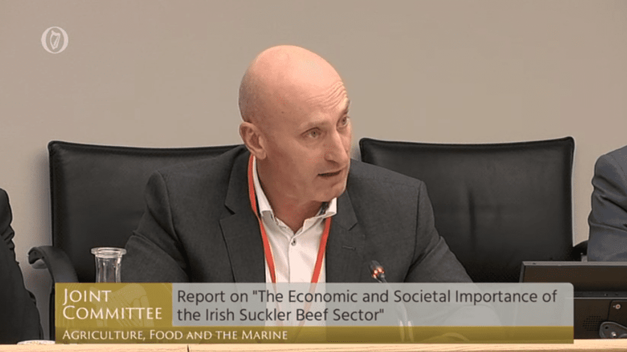 Protests 'risk damaging farmer livelihoods' - Woods
