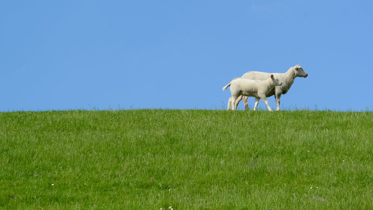 EU agri committee urged to visit border region