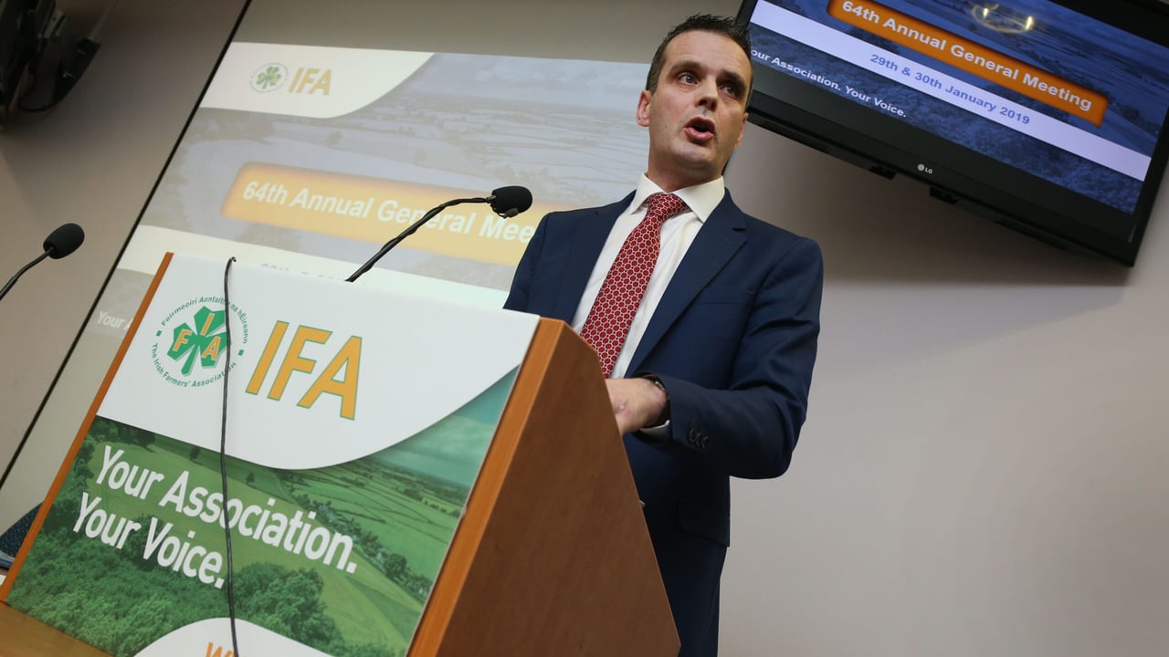 Excluding one sector from BEAM is 'wrong-headed' - IFA