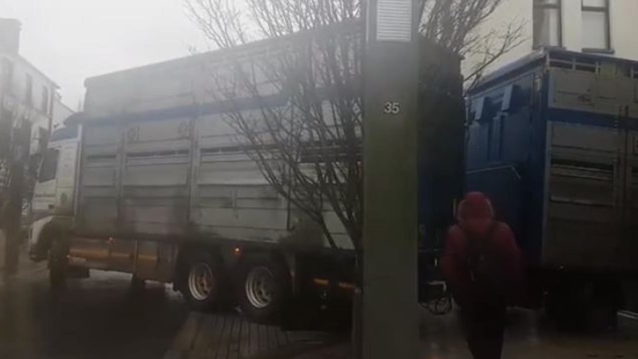 Cattle lorry gets stuck in narrow Castlebar side street