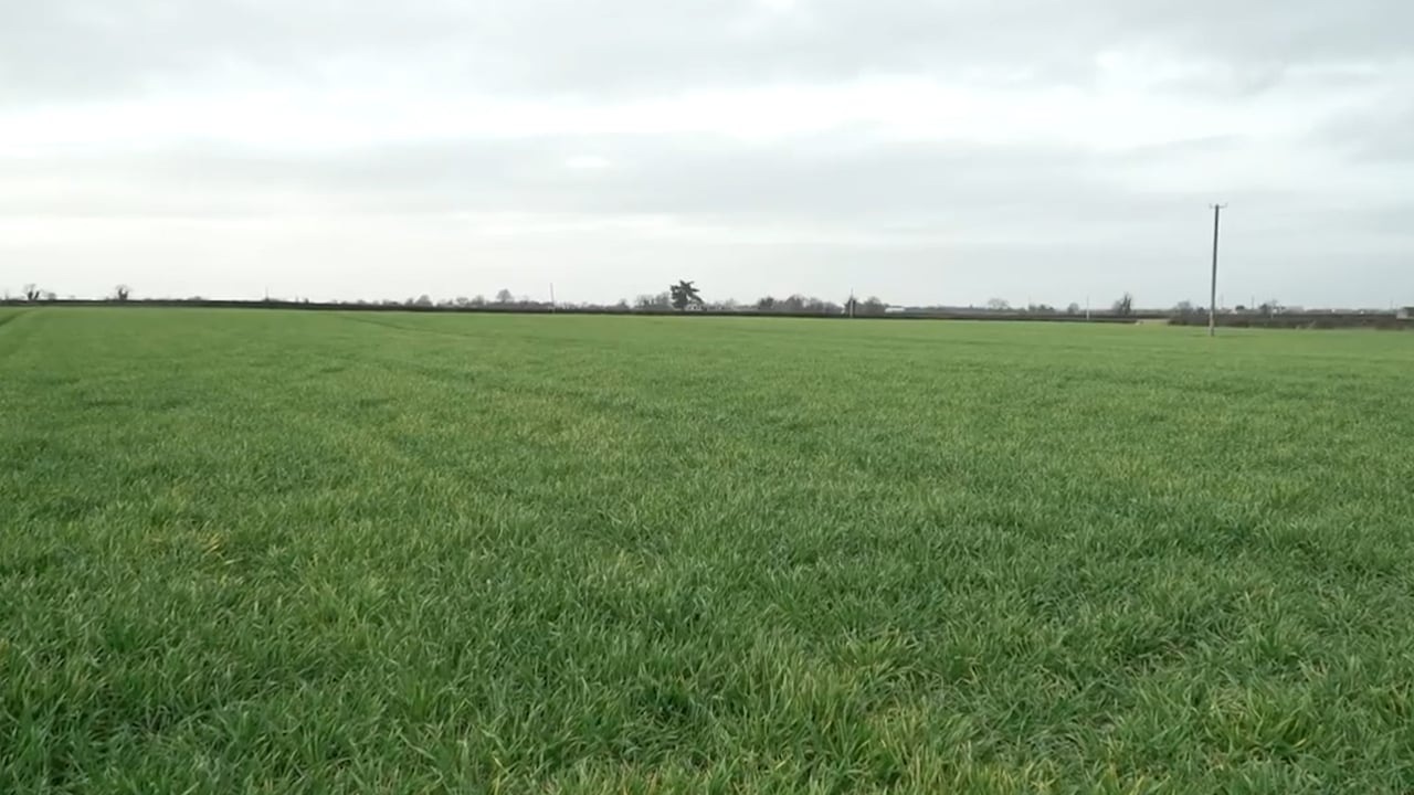 CROPS WATCH: Front loading winter barley for the season ahead