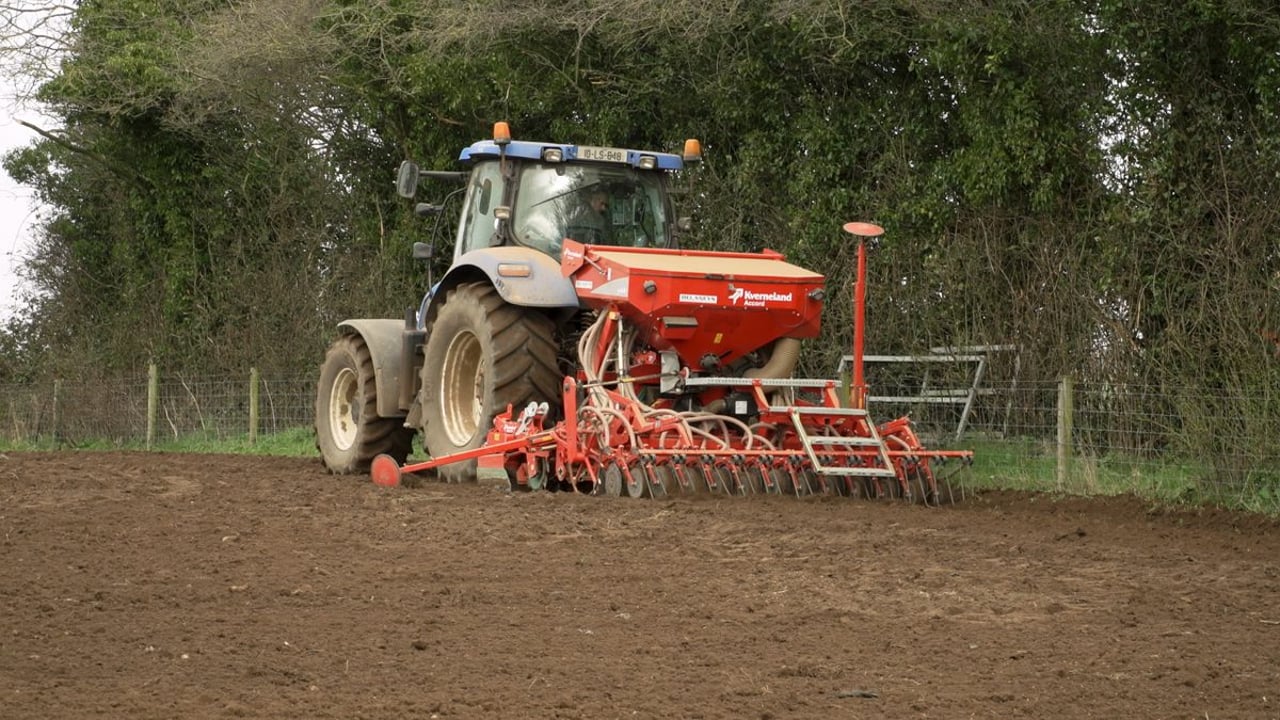 Getting the right seed rate in your spring cereals