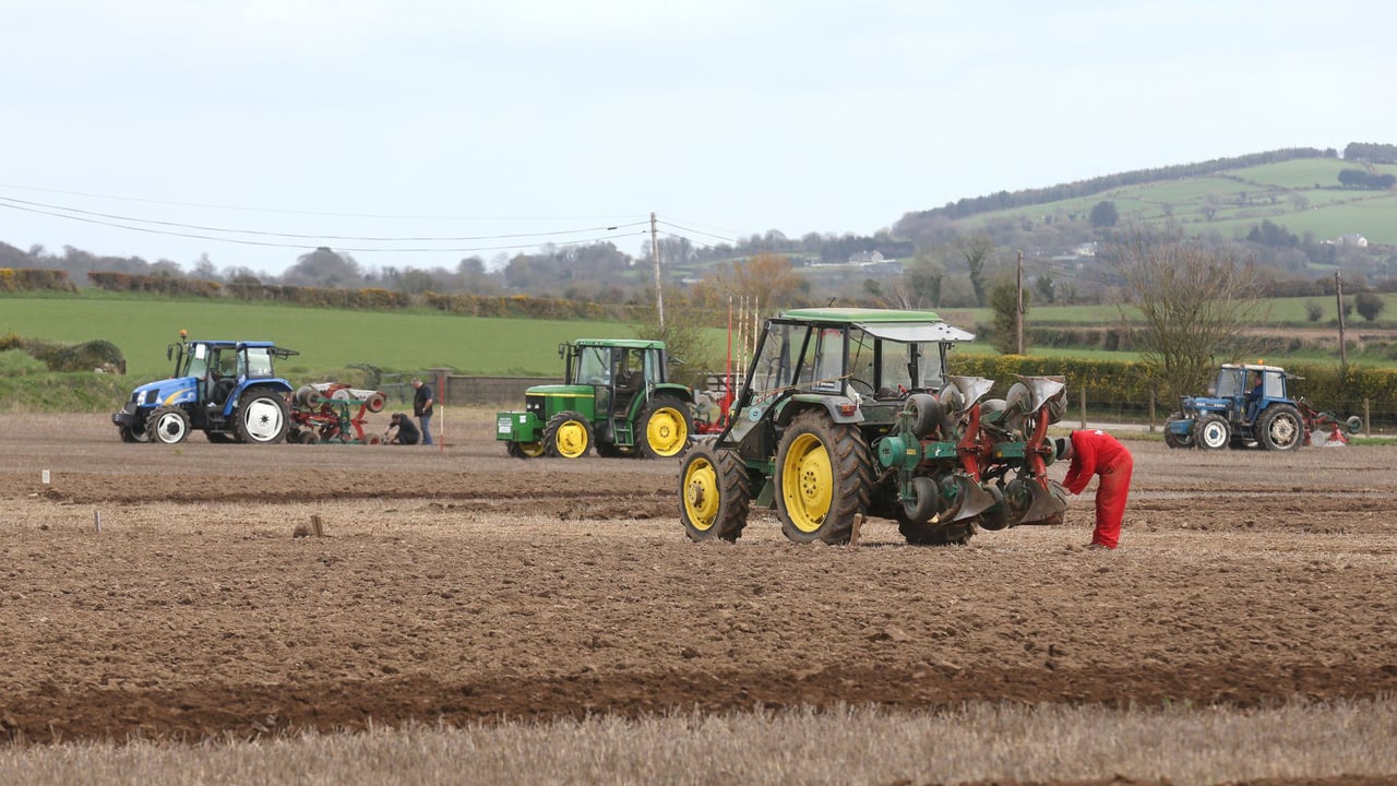 Competitors getting set for European ploughing this weekend