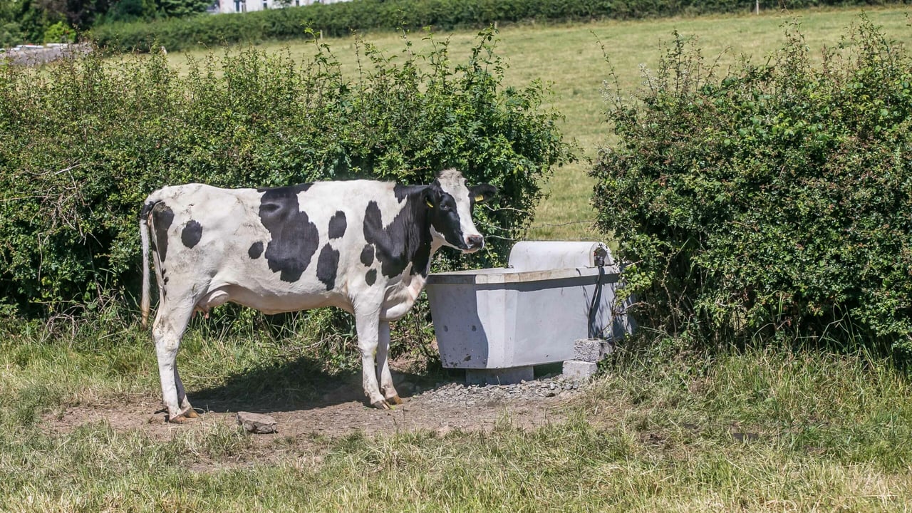 How Flogas helped this Co. Tipperary farmer have instant hot water any time of the year