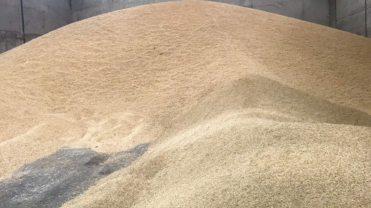 First grain shipment from Ukraine to Africa sets sail