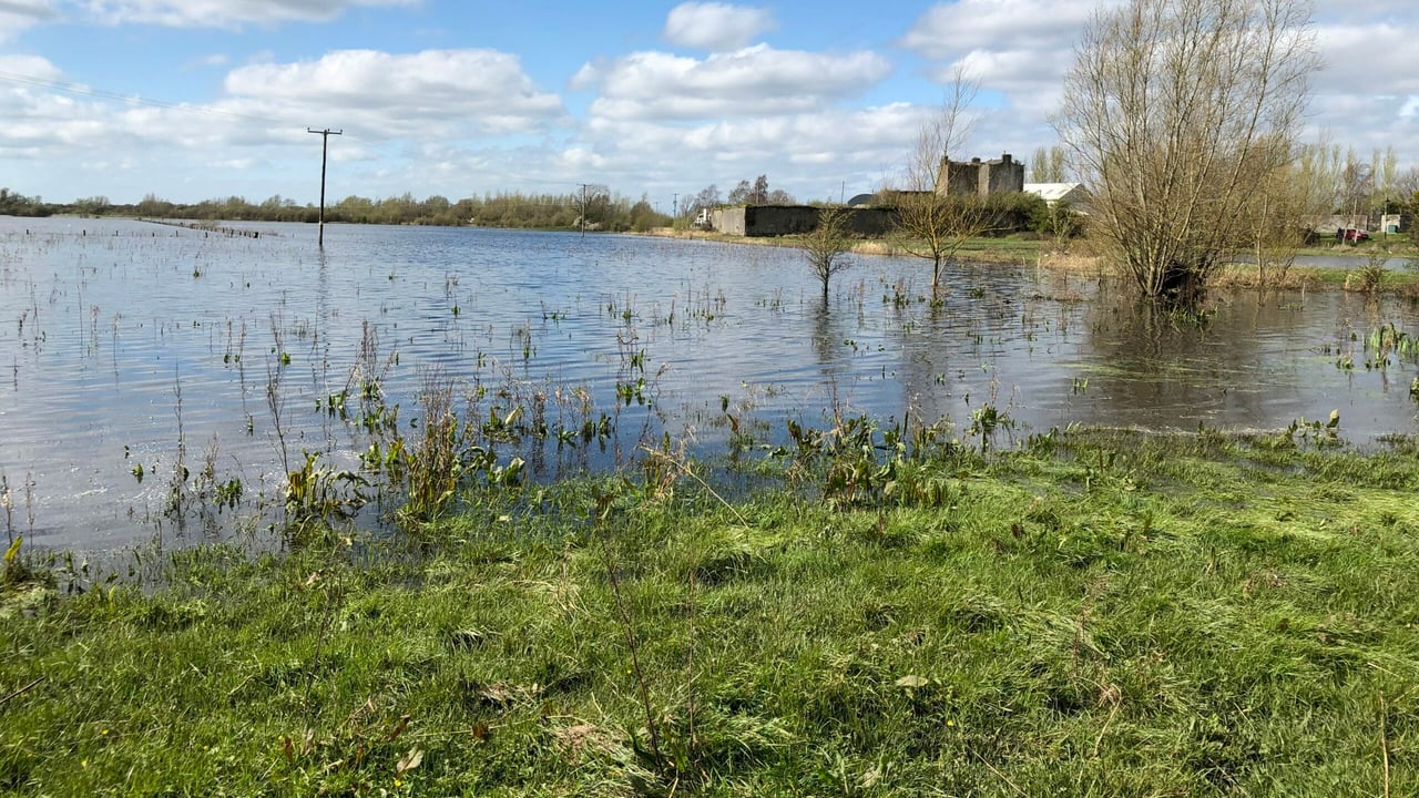 DAFM has 'questions to answer' on Shannon callows scheme - SF